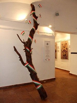 Olaszországba indul Szegedről az első világháborús kultikus ereklye a doberdói fa
