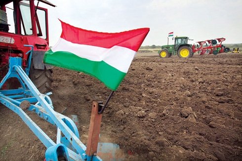 A magyar otthonok után a magyar föld az új célterülete a bankoknak