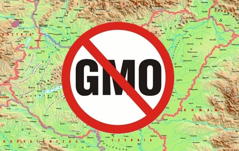 Magyarországon akkor sem lesz GMO-termelés, ha az EU feje tetejére áll