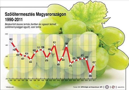 Szőlőtermesztés mennyiségének csökkenése Magyarországon